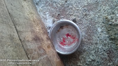 DSC_1384.JPG