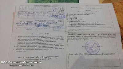 20170108_220838.jpg