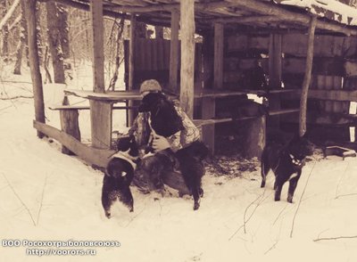 IMG-20170127-WA0047.jpg