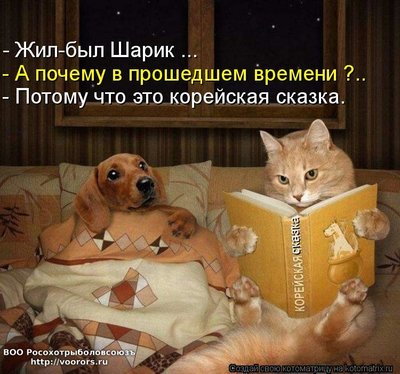 ск.jpg