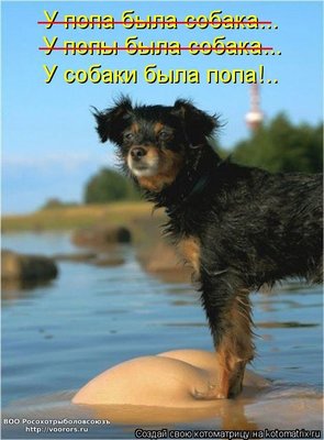 попа.jpg
