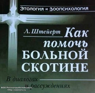 Ct-x-wnXYAAdmU-.jpg