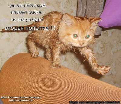 зав.jpg