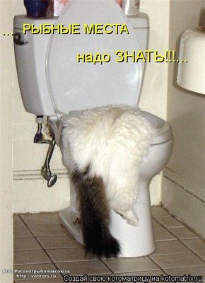 р.jpg