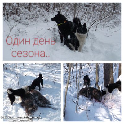 IMG-20170204-WA0016.jpg
