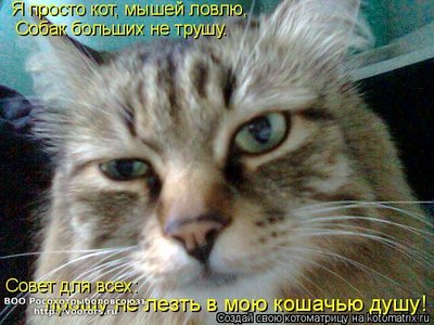 ддд.jpg