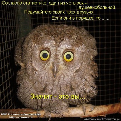 ст.jpg