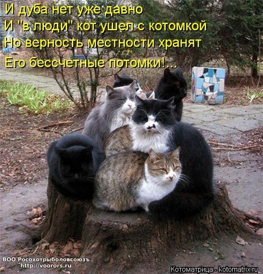 пот.jpg