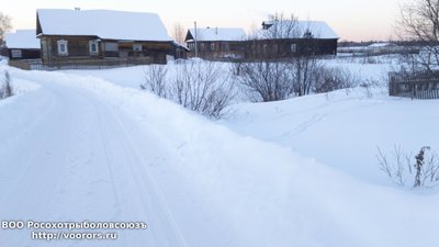DSC_0008.JPG