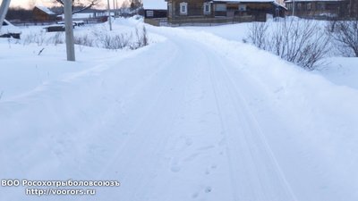 DSC_0009.JPG