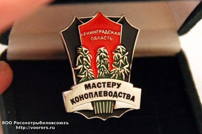 кон.jpg