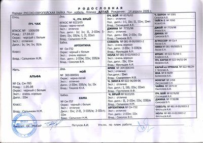 20121218_162419.jpg