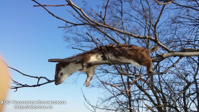 20170210_141551.jpg