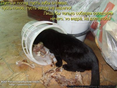 л.jpg