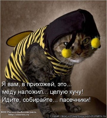 куча.jpg