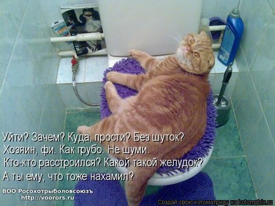 гр.jpg