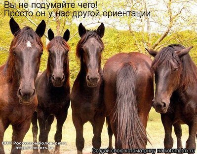 ор.jpg