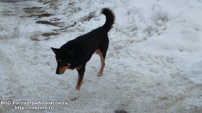 DSC_0024.JPG