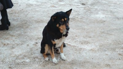 DSC_0029.JPG