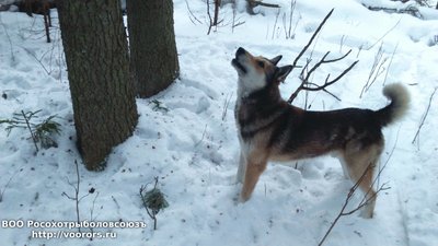 DSC_0012.JPG