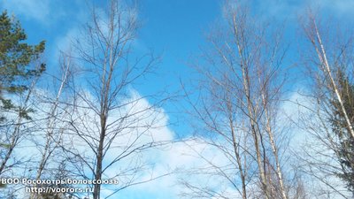 DSC_0017.JPG