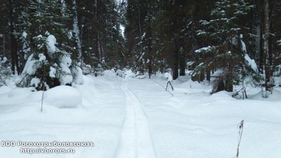 DSC_0009.JPG
