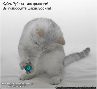 куб.jpg