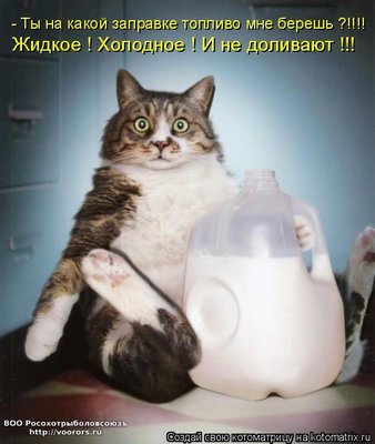 топл.jpg