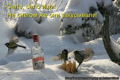 сало.jpg