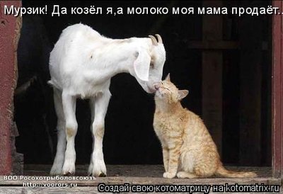 козел.jpg