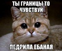 пед.jpeg
