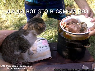 раз.jpg