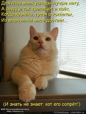 мороз.jpg