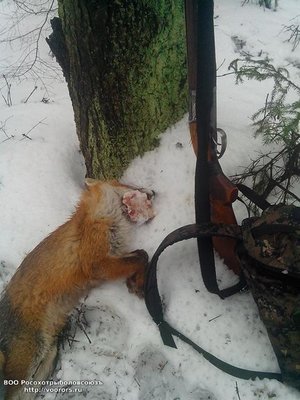 IMG_20120101_030211.jpg