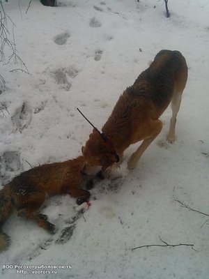 IMG_20120101_030150.jpg