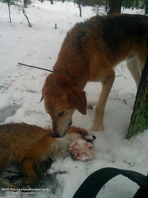 IMG_20120101_030310.jpg