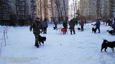 IMG_2017-02-25_111019.jpg