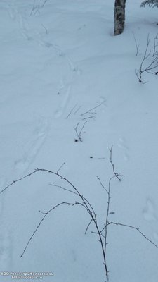 DSC_0001.JPG