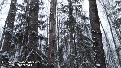 DSC_0002.JPG