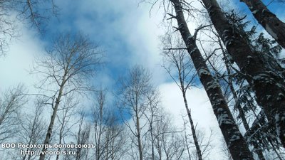DSC_0012.JPG