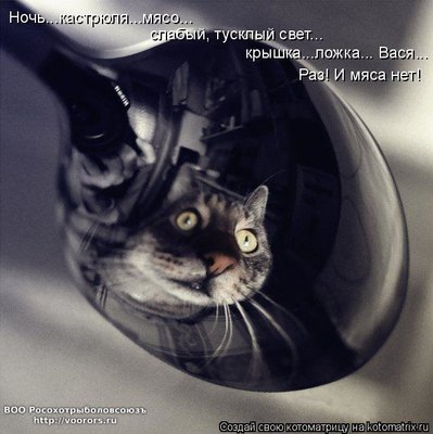 в.jpg