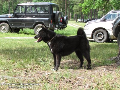 IMG_1735.JPG