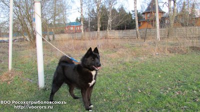 IMG_1511.JPG
