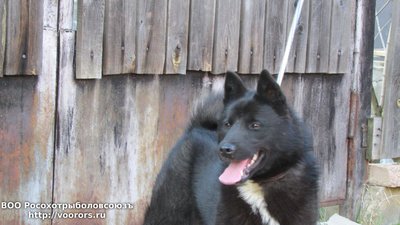 IMG_1442.JPG