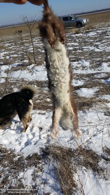 20170210_130927.jpg