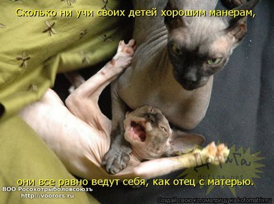 уч.jpg