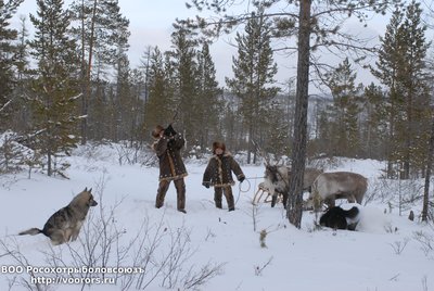 DSC_1315.JPG