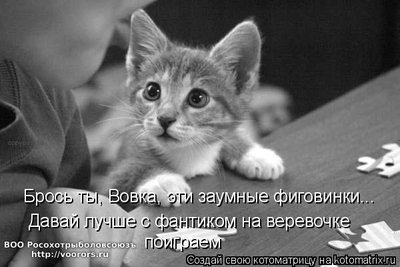 вова.jpg