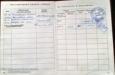 20170227_180830.jpg