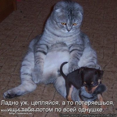 ладно.jpg